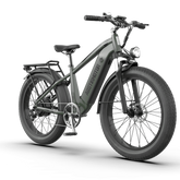 Aostirmotor KING 1000W 52V All-Terrain Fat Tire Electric Bike